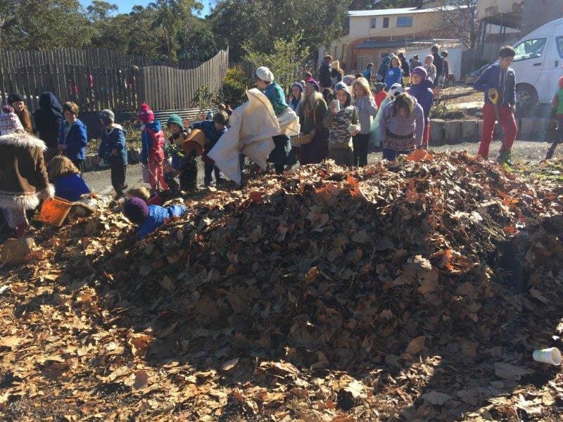 Compost for fb