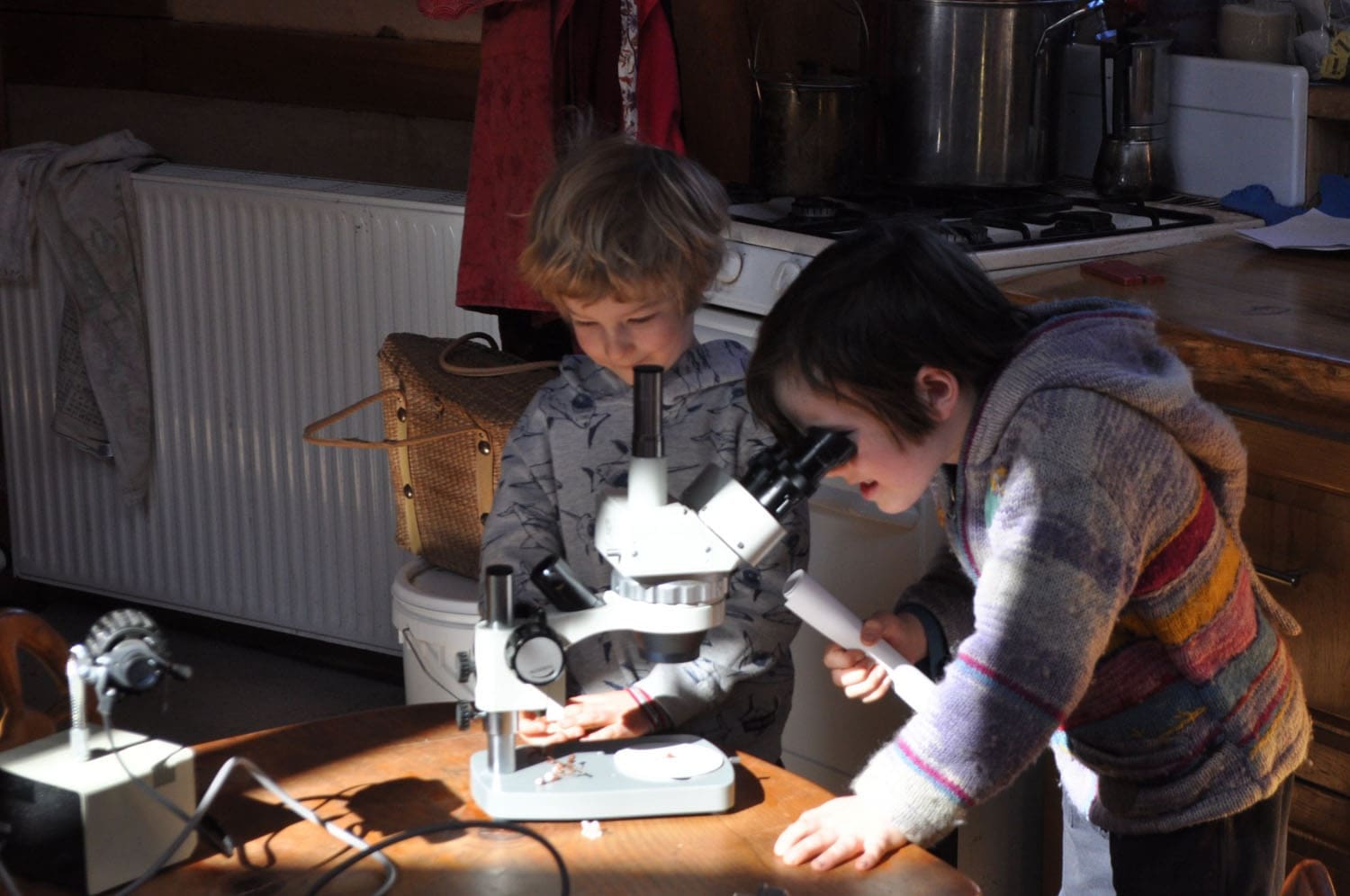 Two Kindlehill students share a moment of wonder, investigating the natural world through a microscope together.