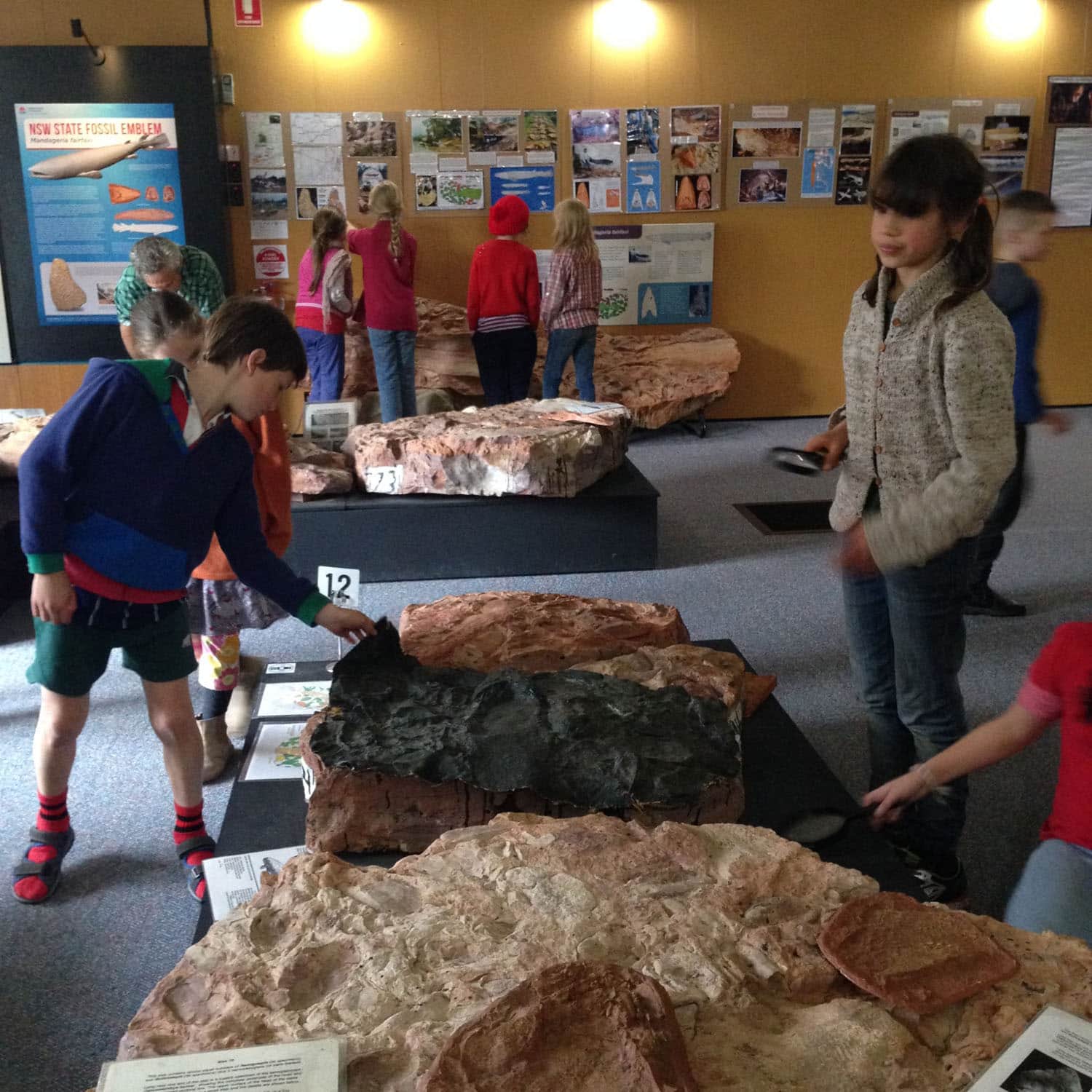 Kindlehill students investigate ancient fossils, honouring the lands history and fostering curiosity through a shared sense of wonder.