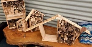 Hand-crafted wooden bee hotels demonstrate student woodcraft and an earth-centred commitment to nurturing the local living world.