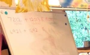 Handwritten mathematics equations on a whiteboard illustrate engaging Maths Rotations held within Kindlehills light-filled, nature-centred classroom.