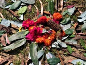 Gum leaves inscribed with wishes for kindness surround autumn flowers, grounding Kindlehill students in natures rhythm and community.