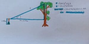 Hand-drawn trigonometric diagram calculating a gum trees height, connecting mathematical rigour with place-based learning and nature.