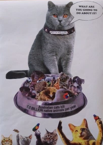 A cat demands accountability for billions of native animal deaths, urging protection of the land and local wildlife.