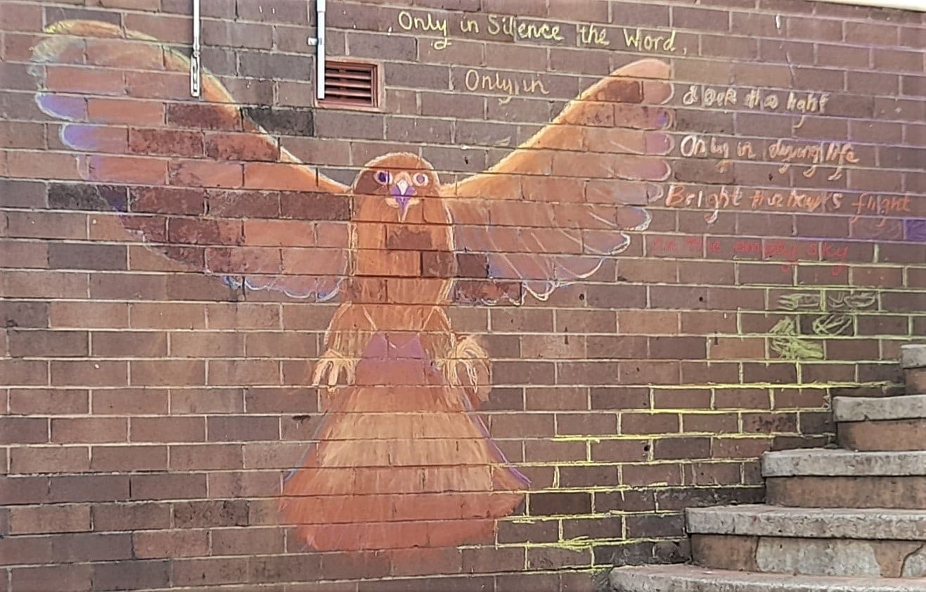 A large chalk hawk with outstretched wings soars across bricks, symbolising the wildness of nature and creative self-expression.