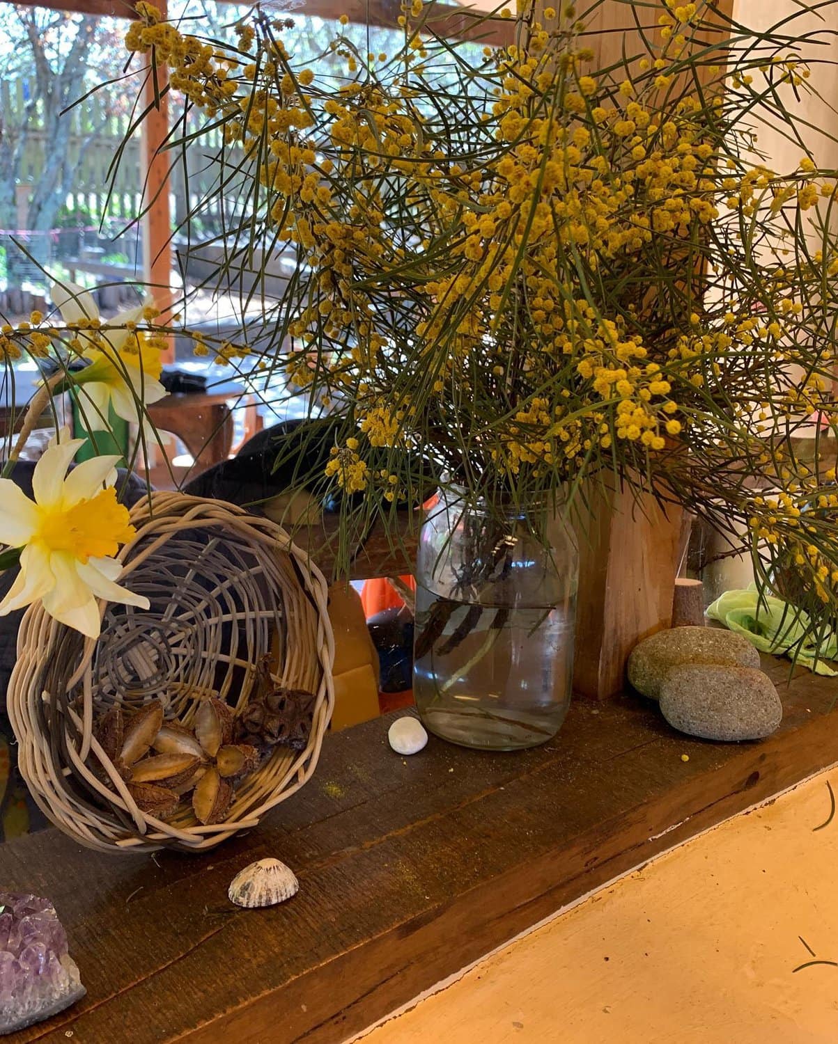Vibrant wattle blossoms and nature treasures honour the seasonal rhythm and connection to Country within the classroom.