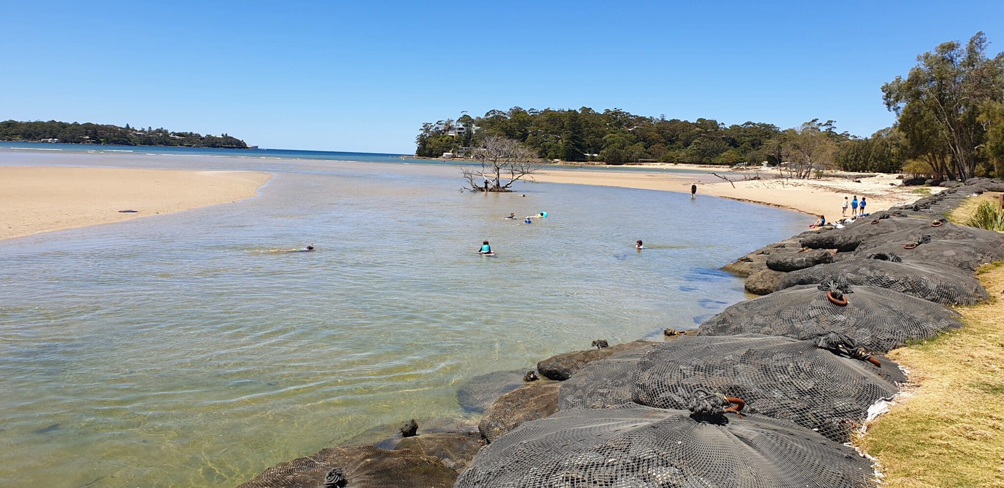 Students swim in sunny Bonny Vale waters, connecting with Land and Country during a joyful outdoor camping adventure.
