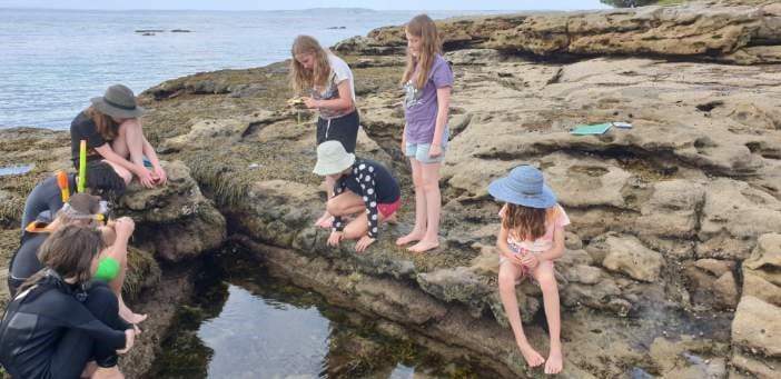 Kindlehill students discover sea life in rock pools, honouring nature and cultivating courage through shared wonder.