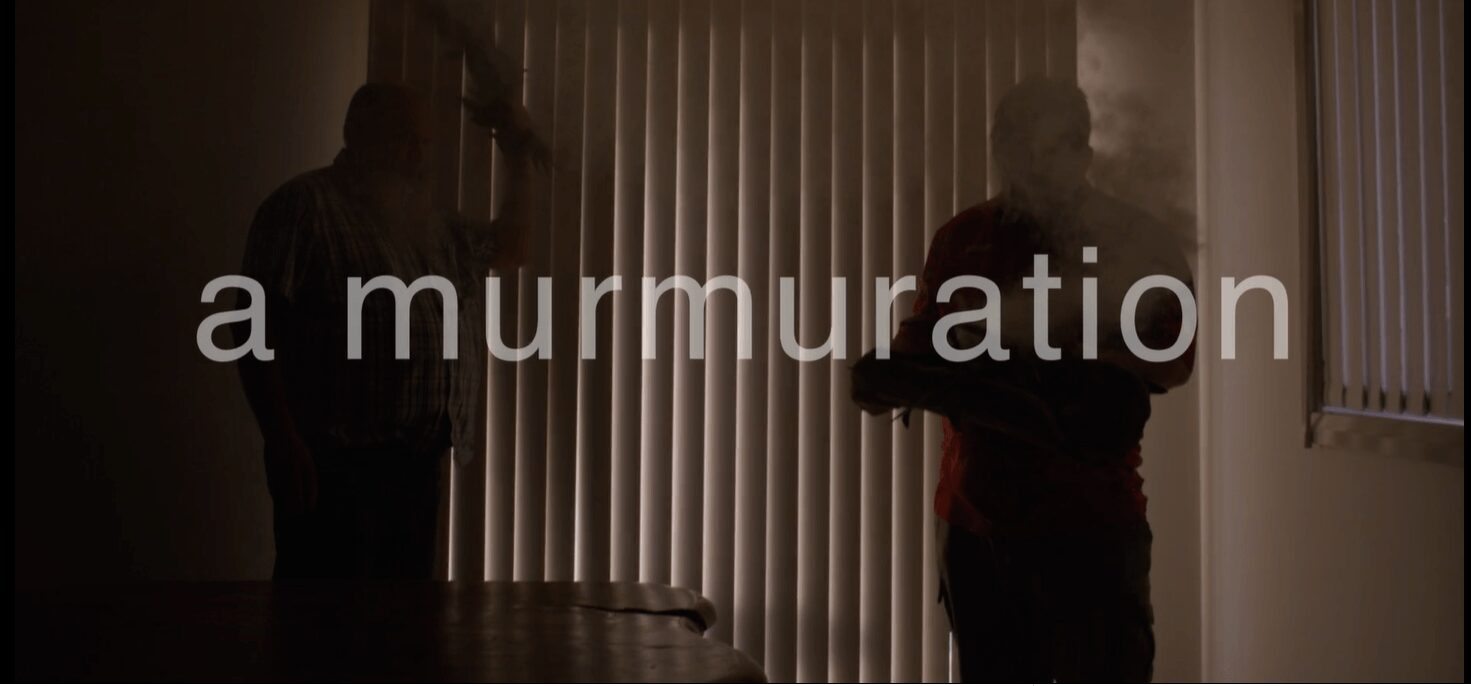 a murmuration