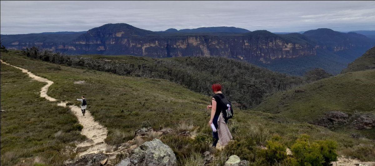 Students hike Lockleys Pylon, recognising their sacred connection to Country and their role as future protectors of nature.