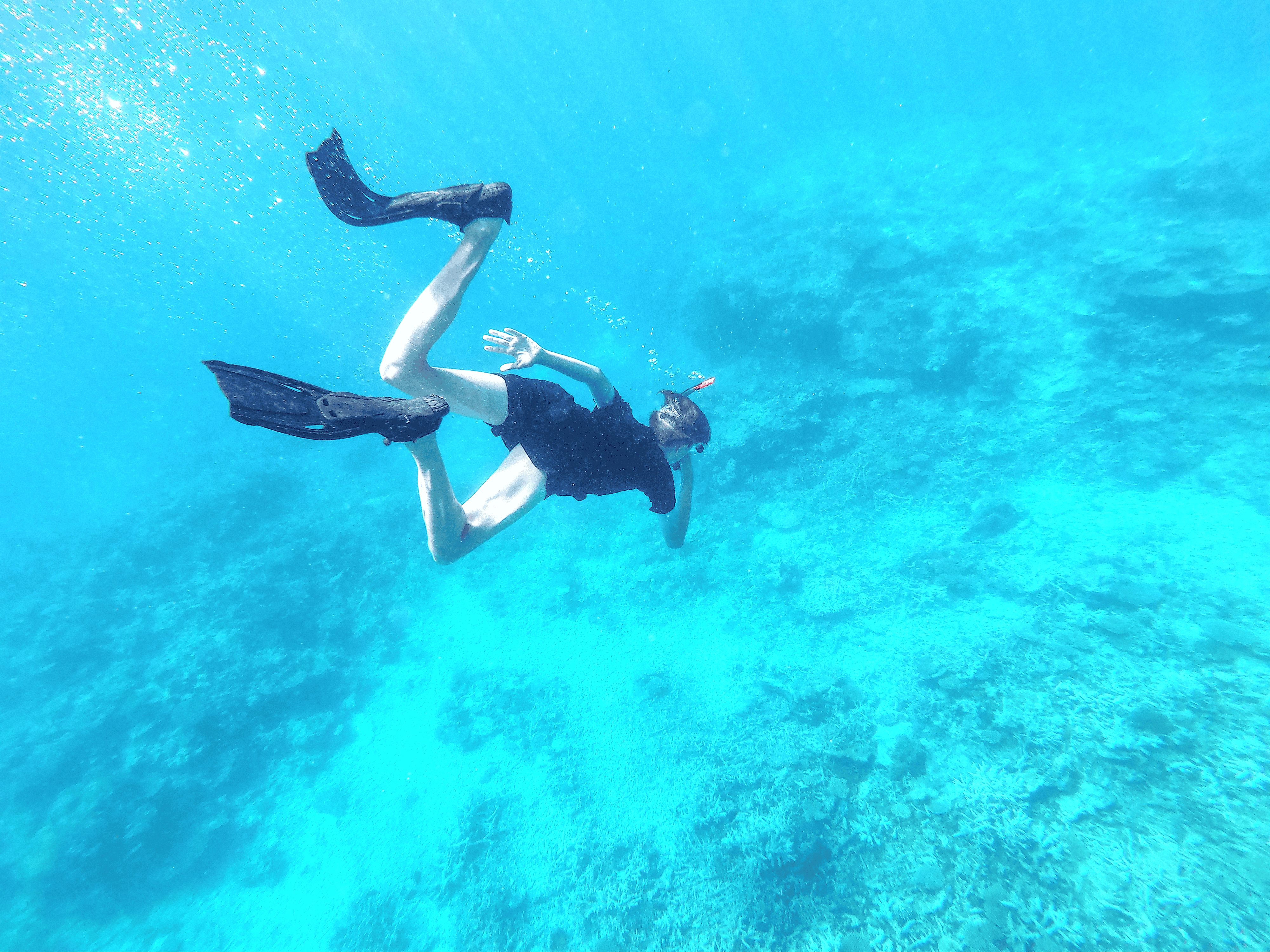 A student dives into turquoise reef waters, discovering inner resilience and a profound connection to our living Earth.