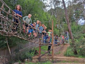 Kindlehill students foster community and resilience, balancing together on a rope bridge nestled in the Blue Mountains bushland.
