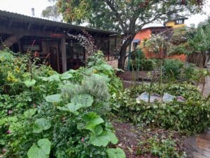 Lush foliage and woven greenery frame Kindlehills organic buildings, reflecting the rhythmic spiral of nature and childhood growth.