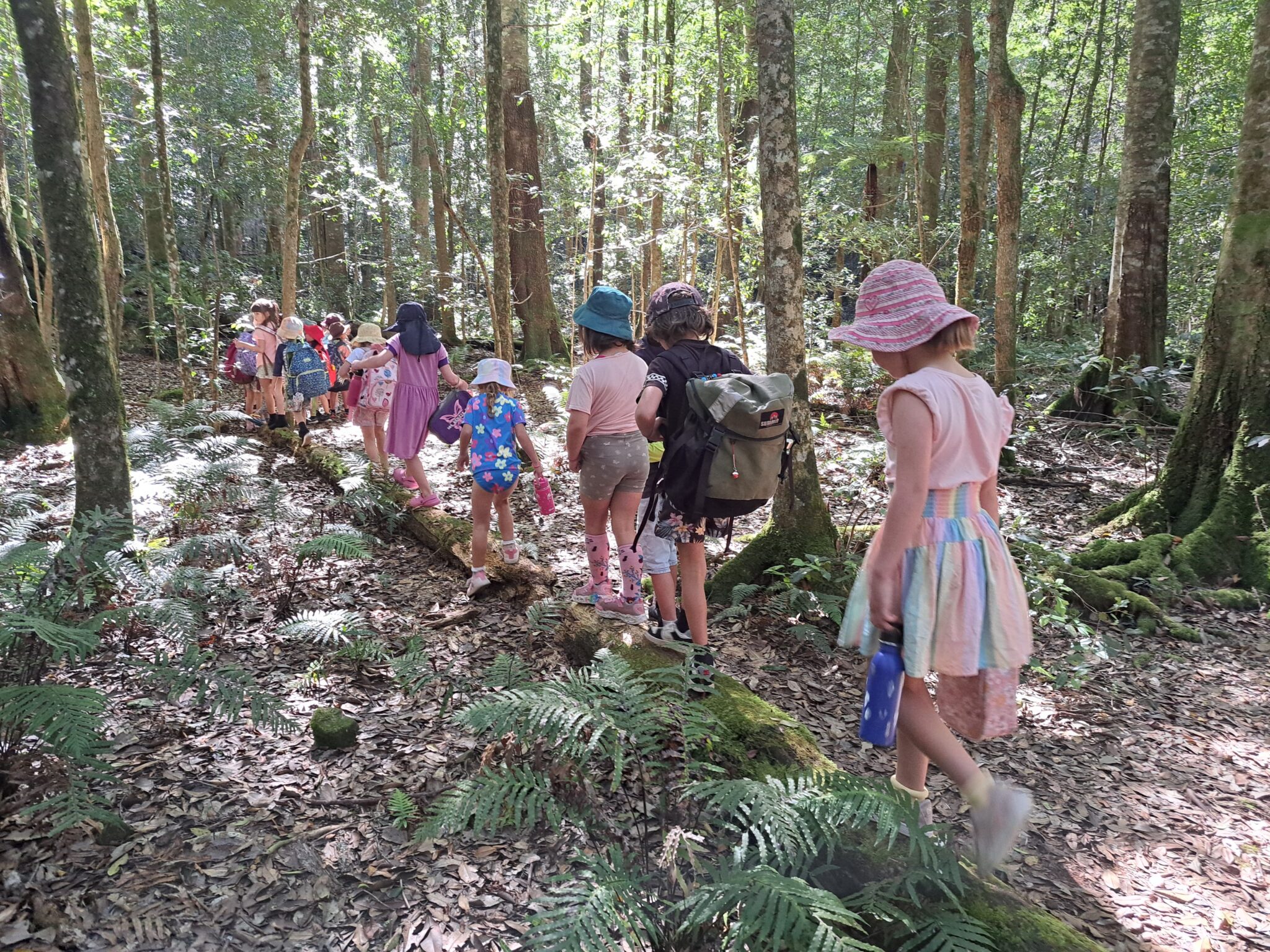 Kindlehill children journey together through the bush, balancing on a fallen log while connecting deeply with Country.