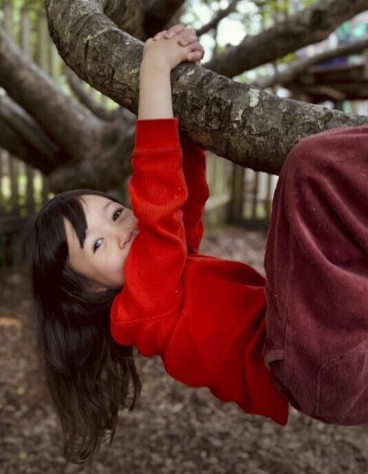 A courageous child swings from a tree branch, cultivating resilience and deep connection with the natural land.