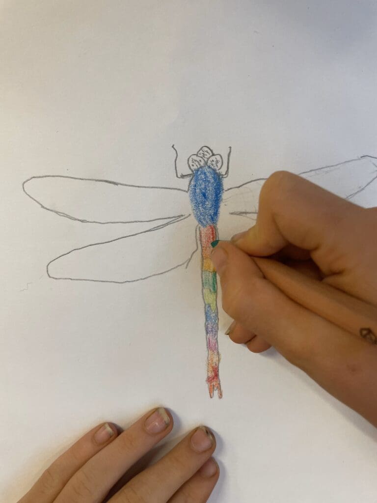 Student hands colour a dragonfly, cultivating a connection to nature and imagination through heart and hands.