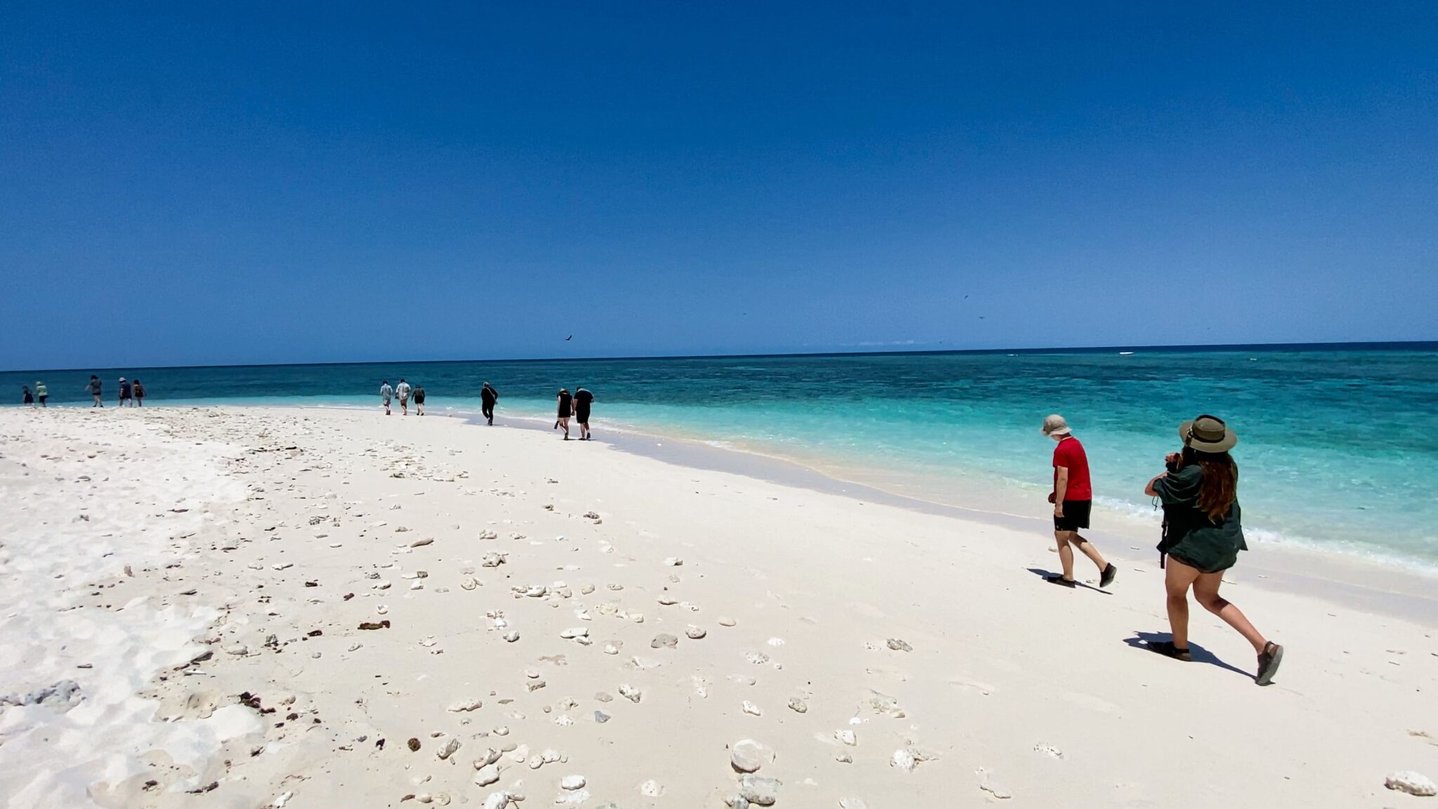 Students walk along a pristine shore, strengthening their connection to Country and the warm spirit of community.