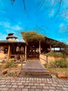 Wooden boardwalks lead into an earth-centred sanctuary, where organic architecture and vines harmonise with the school community spirit.