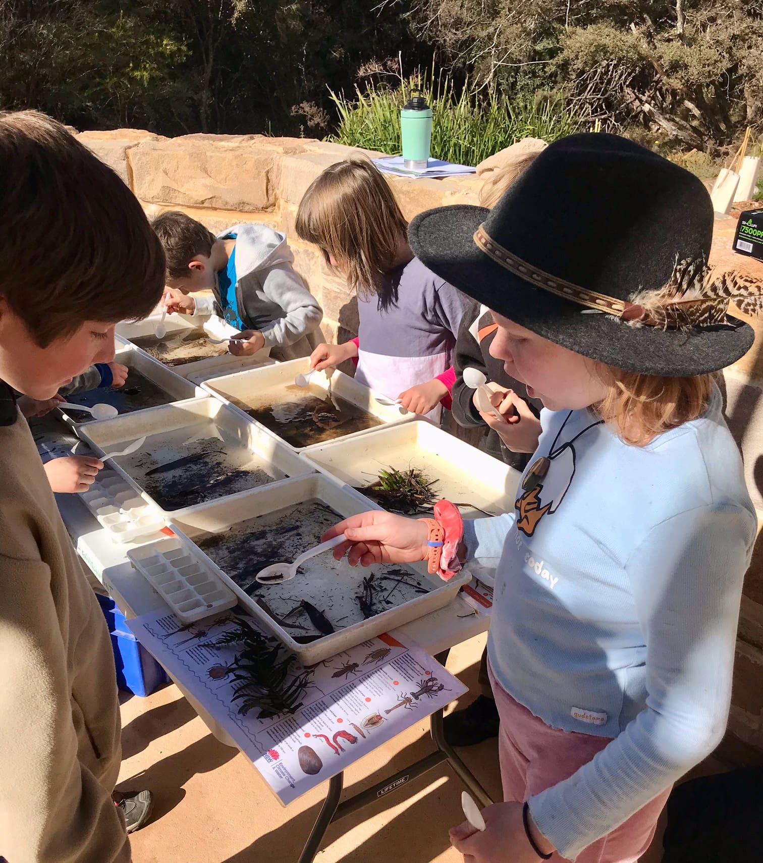 Children investigate aquatic life, connecting with their local lake and Country through curiosity and place-based learning in nature.